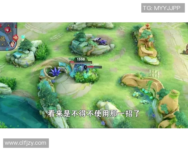 权威发布王者荣耀灵活性实力榜单全面解读与分析 权威发布王者荣耀灵活性实力榜单全面解读与分析