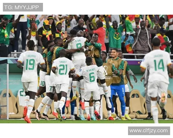 南非与塞内加尔激战正酣谁将赢得这场非洲足球盛宴 南非与塞内加尔激战正酣谁将赢得这场非洲足球盛宴